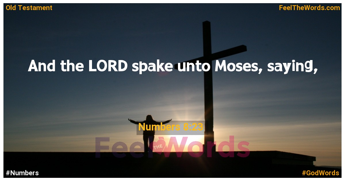 Numbers 8:23