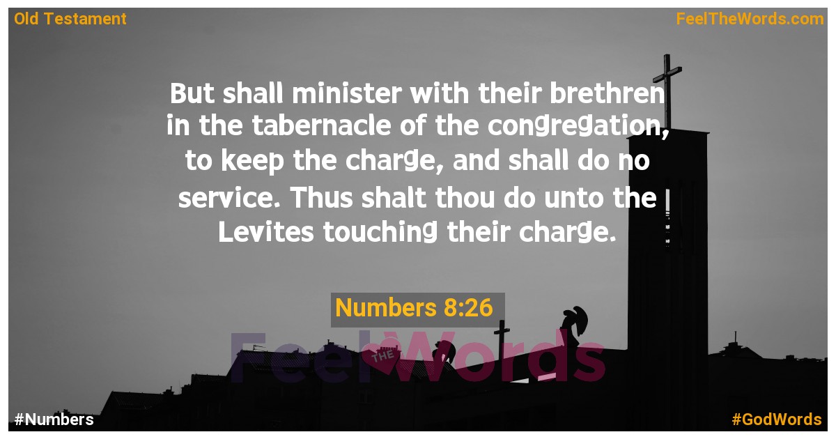 Numbers 8:26