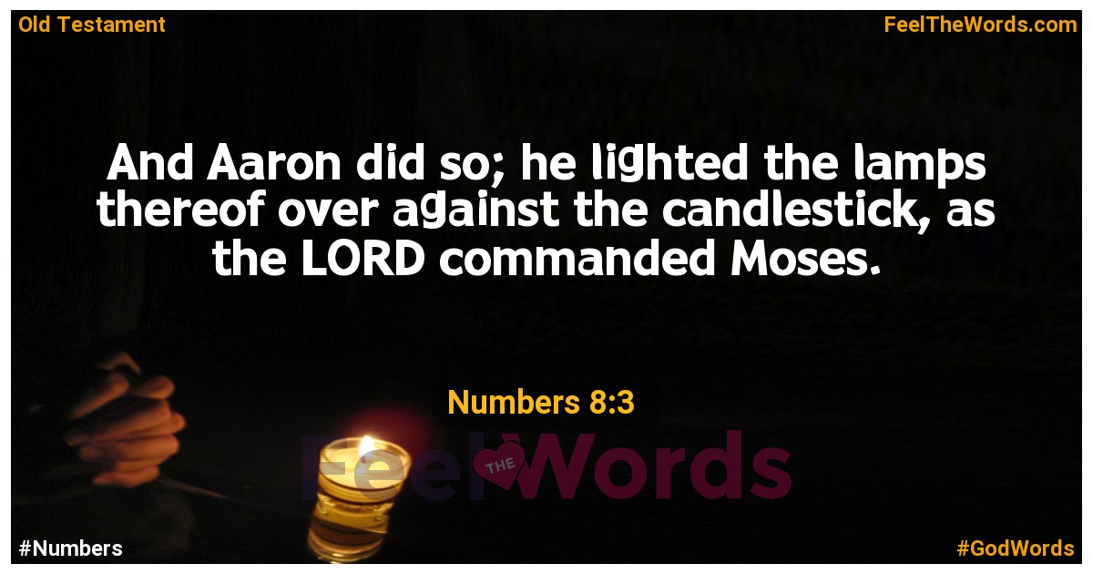Numbers 8:3