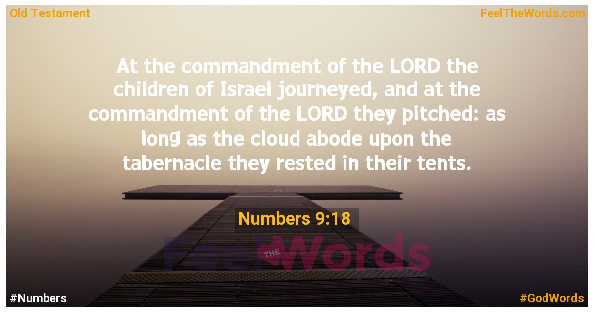 Numbers 9:18