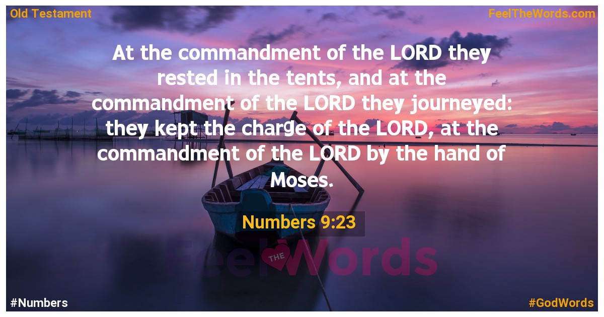 Numbers 9:23