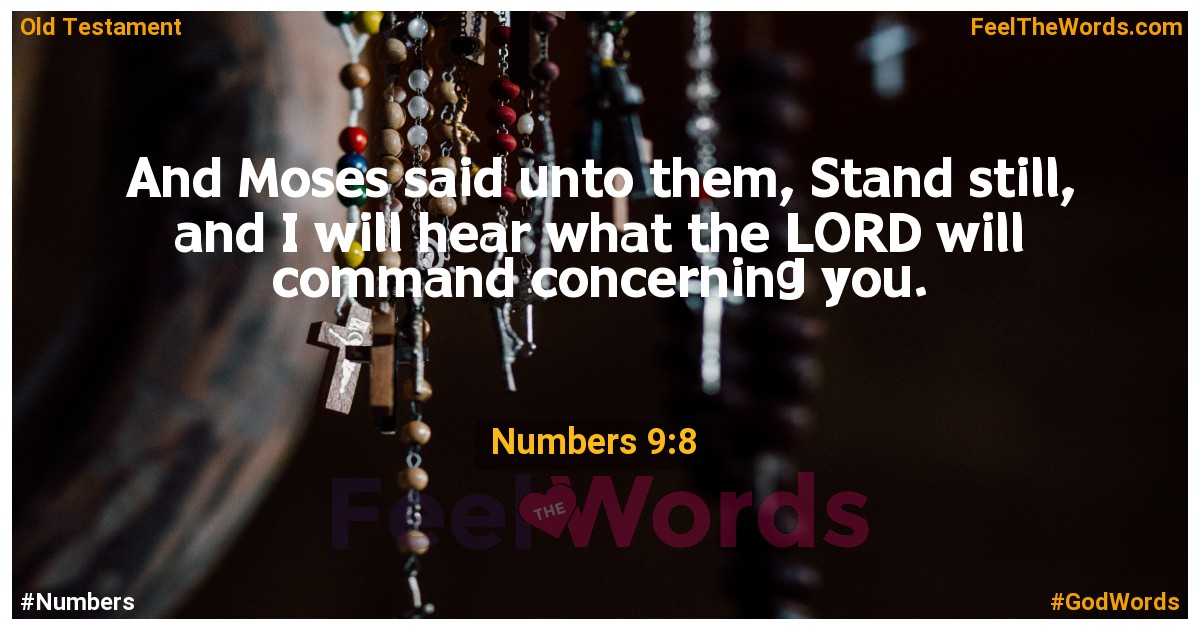 Numbers 9:8