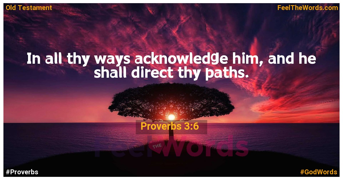 Proverbs 3:6