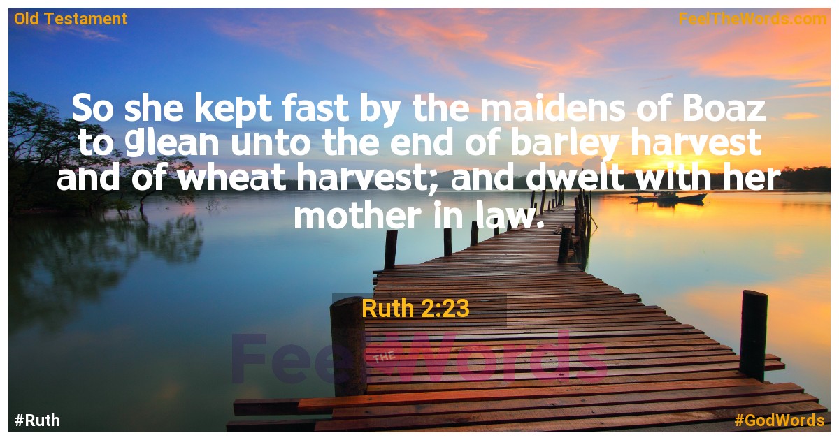 Ruth 2:23