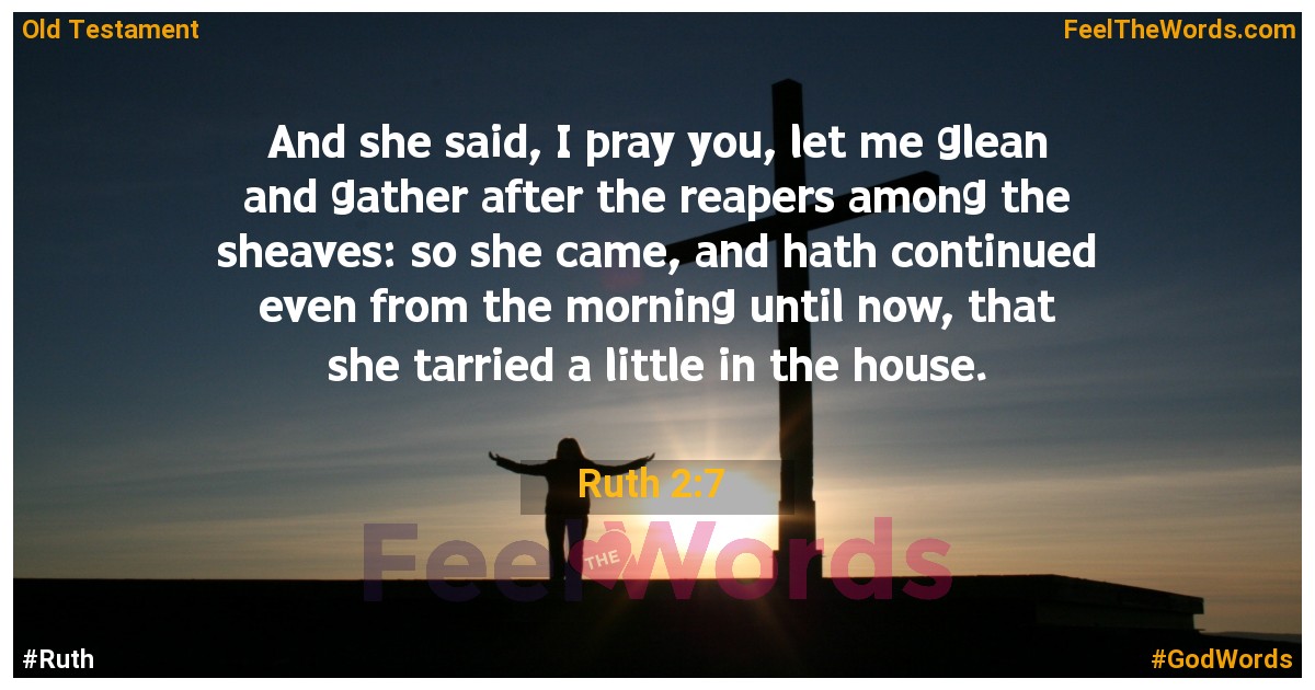Ruth 2:7