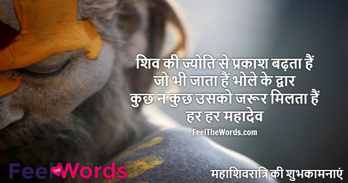 Top 10 Prakash Shayari (टॉप 10 प्रकाश शायरी)