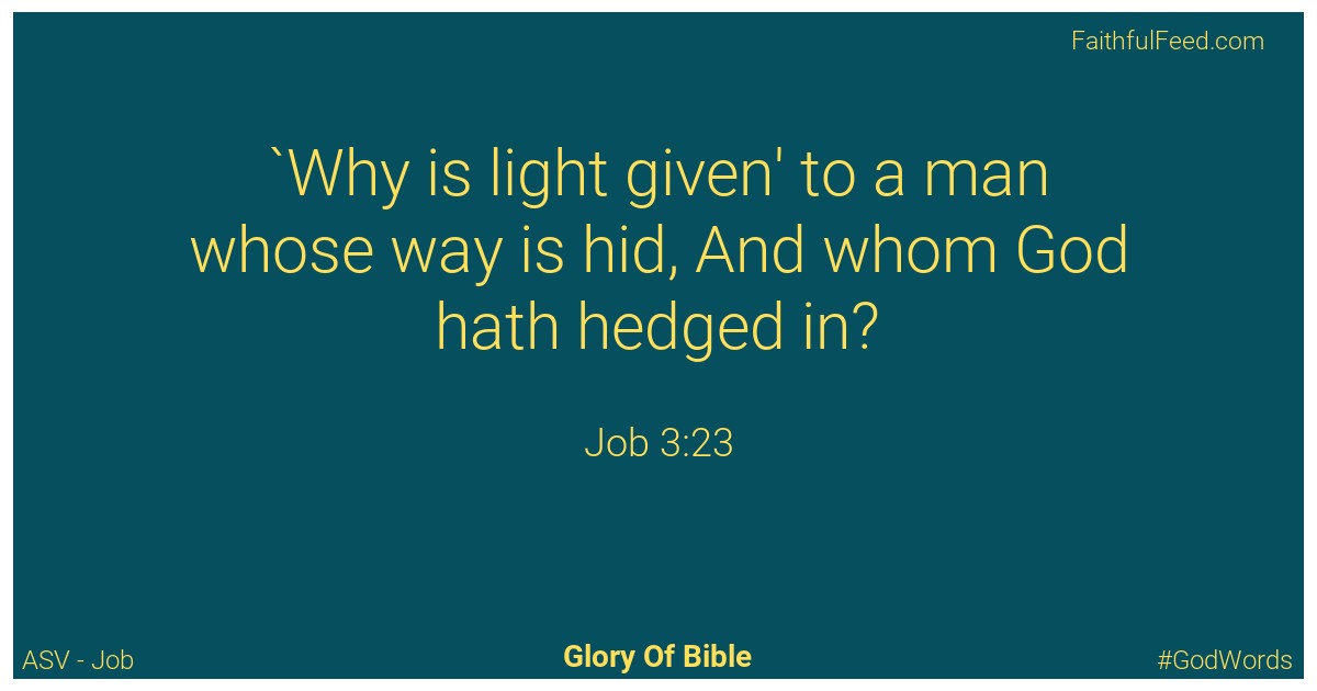 Job 3:23 - Asv