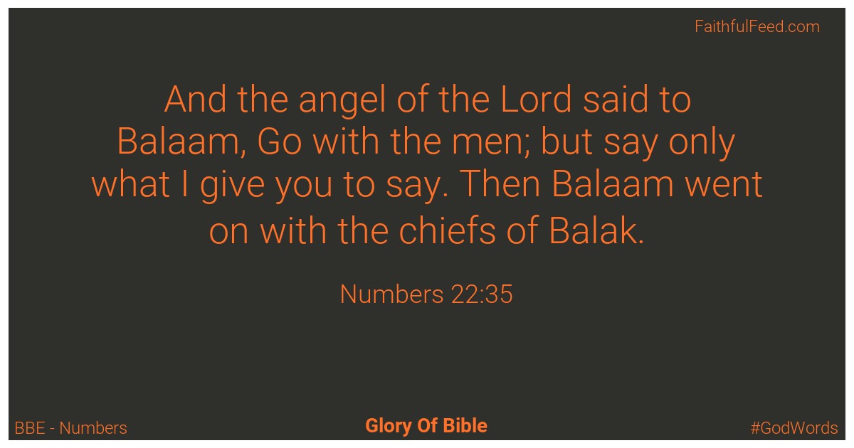 Numbers 22:35 - Bbe